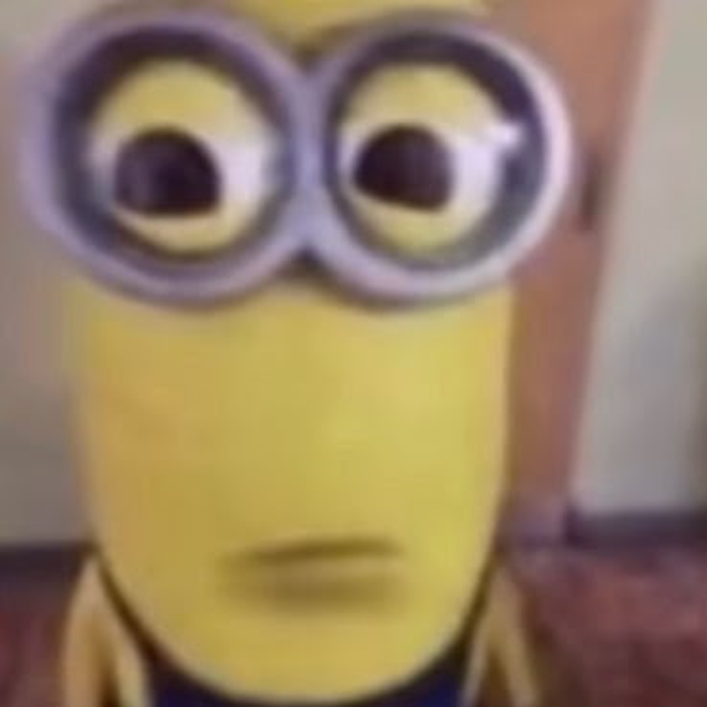 Meet your Posher, Leslie